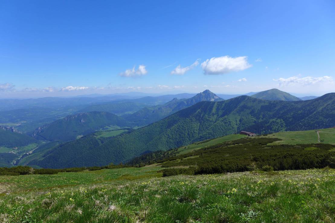 2017-06-01  Jánošíkovi zbojníci  W007