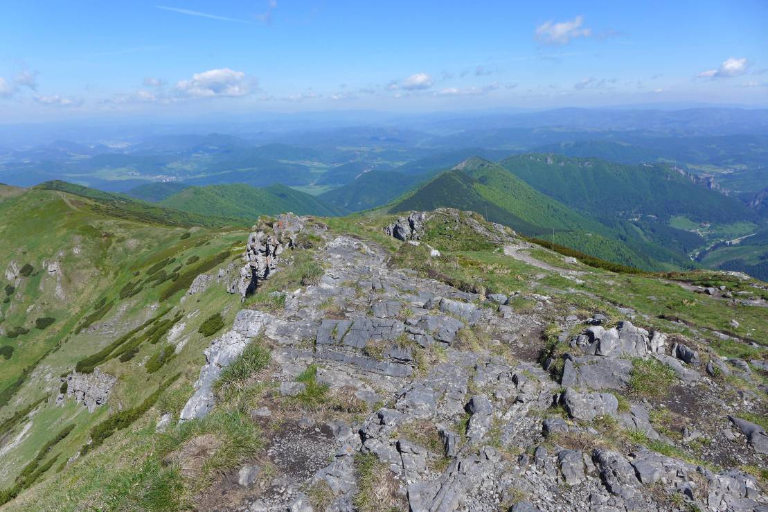 2017-06-01  Jánošíkovi zbojníci  W011