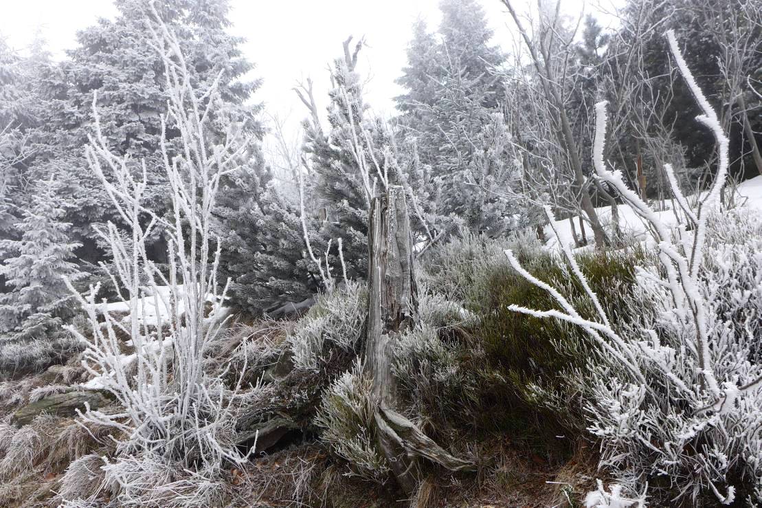 2018-02-07  Ještědská zima  W019