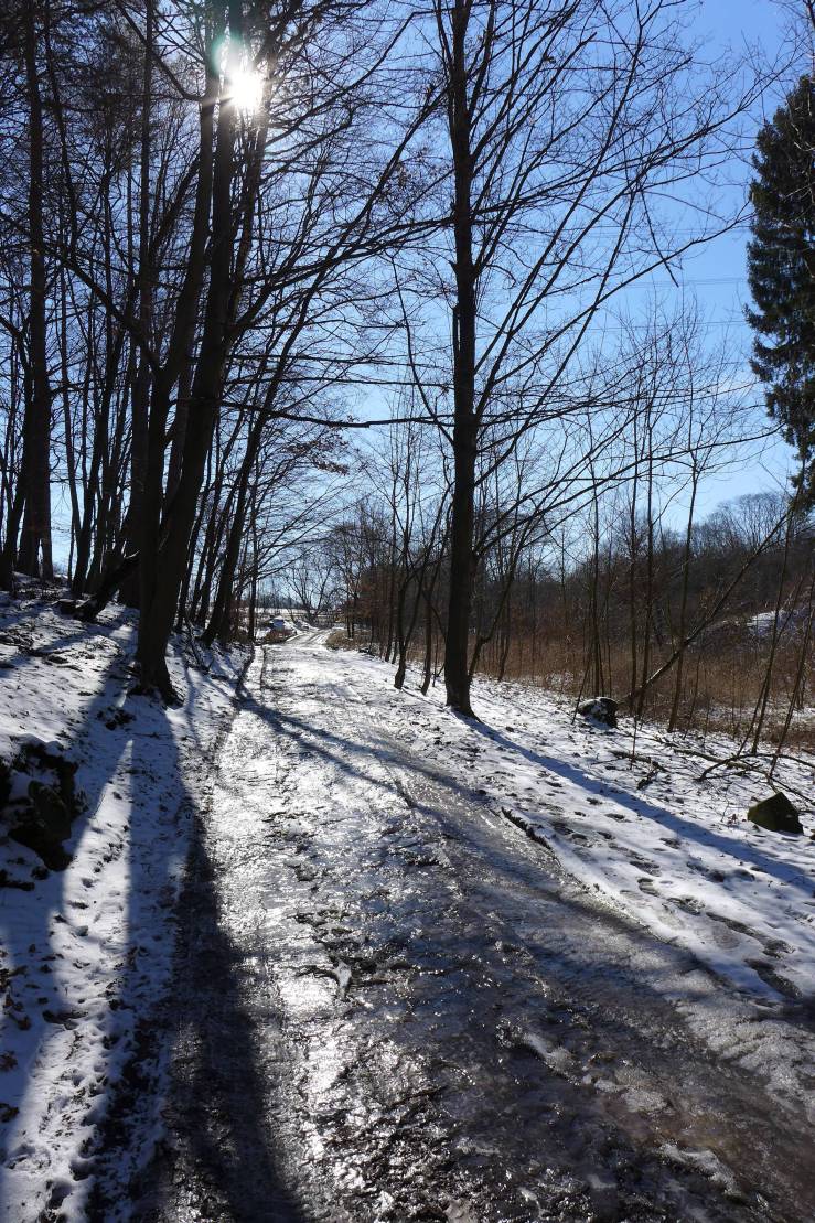 2018-03-20  Předjaří na Sázavě  W029