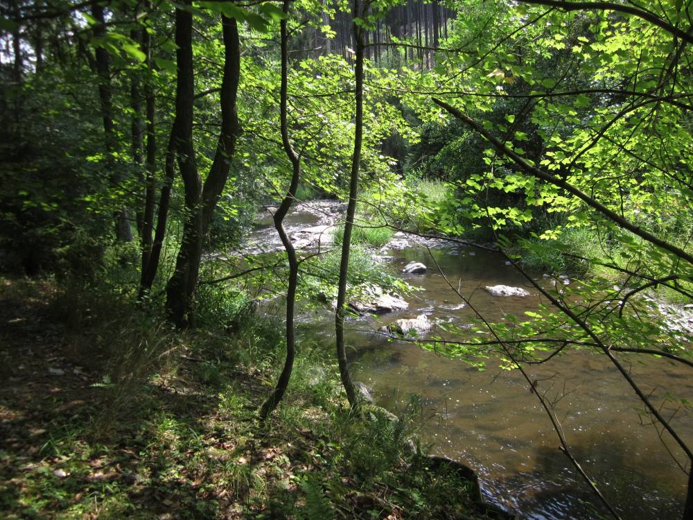 2018-07-23  Stříbro na druhou  W017