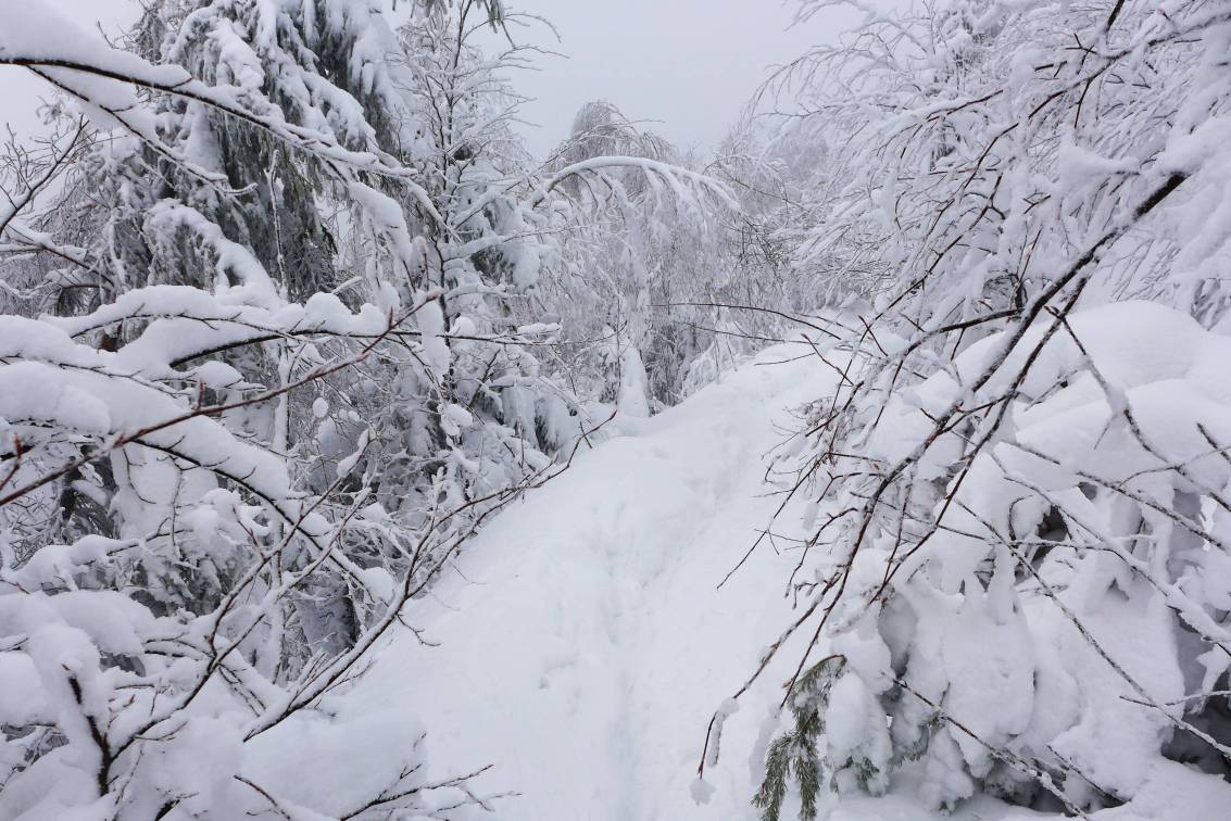 2019-01-12 Pánská jízda v závějích  W017