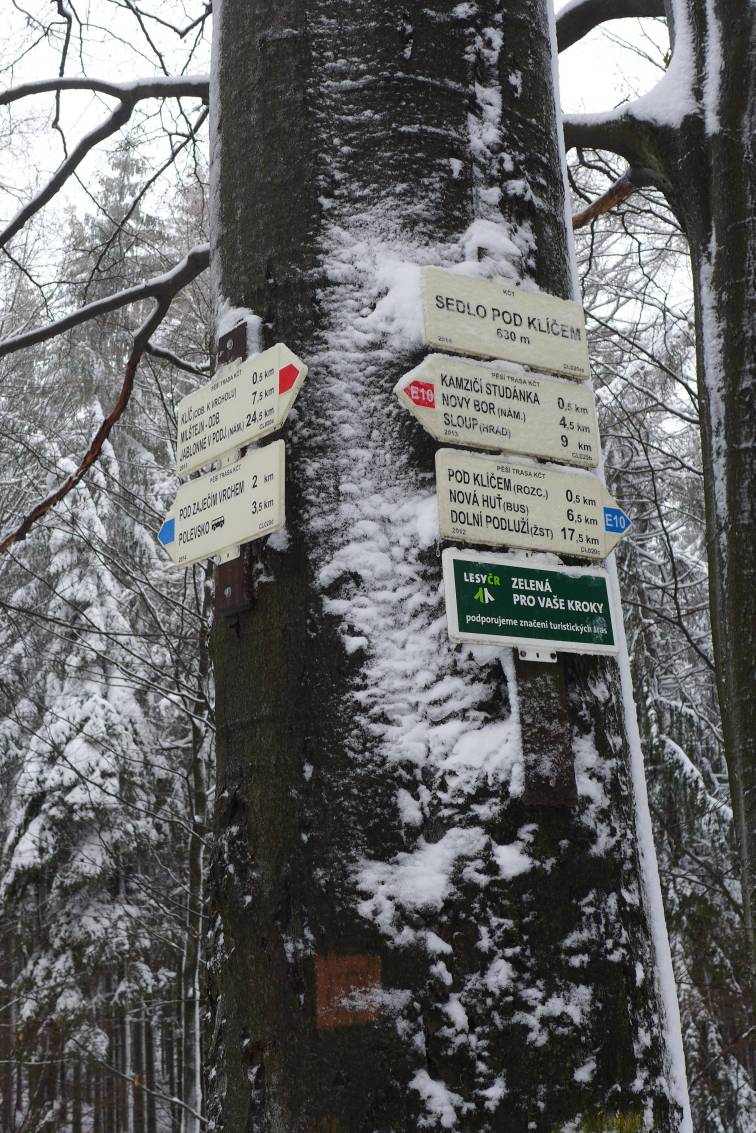 2019-01-12 Pánská jízda v závějích  W031