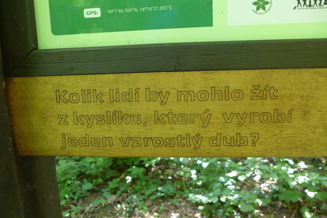 2019-06-03  Vinořský park  W005