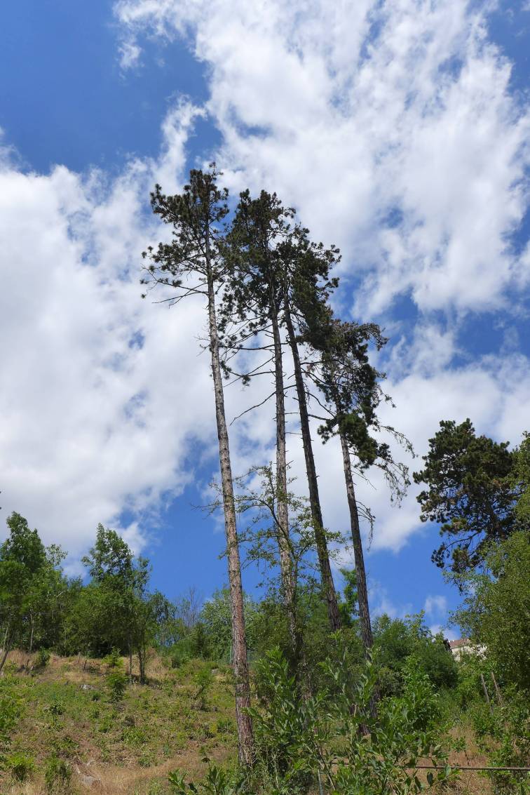 2019-07-08  Prokopáčem do Řeporyjí  W037