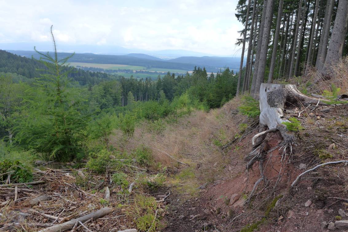 2019-07-15  Hořicko na druhou  W012