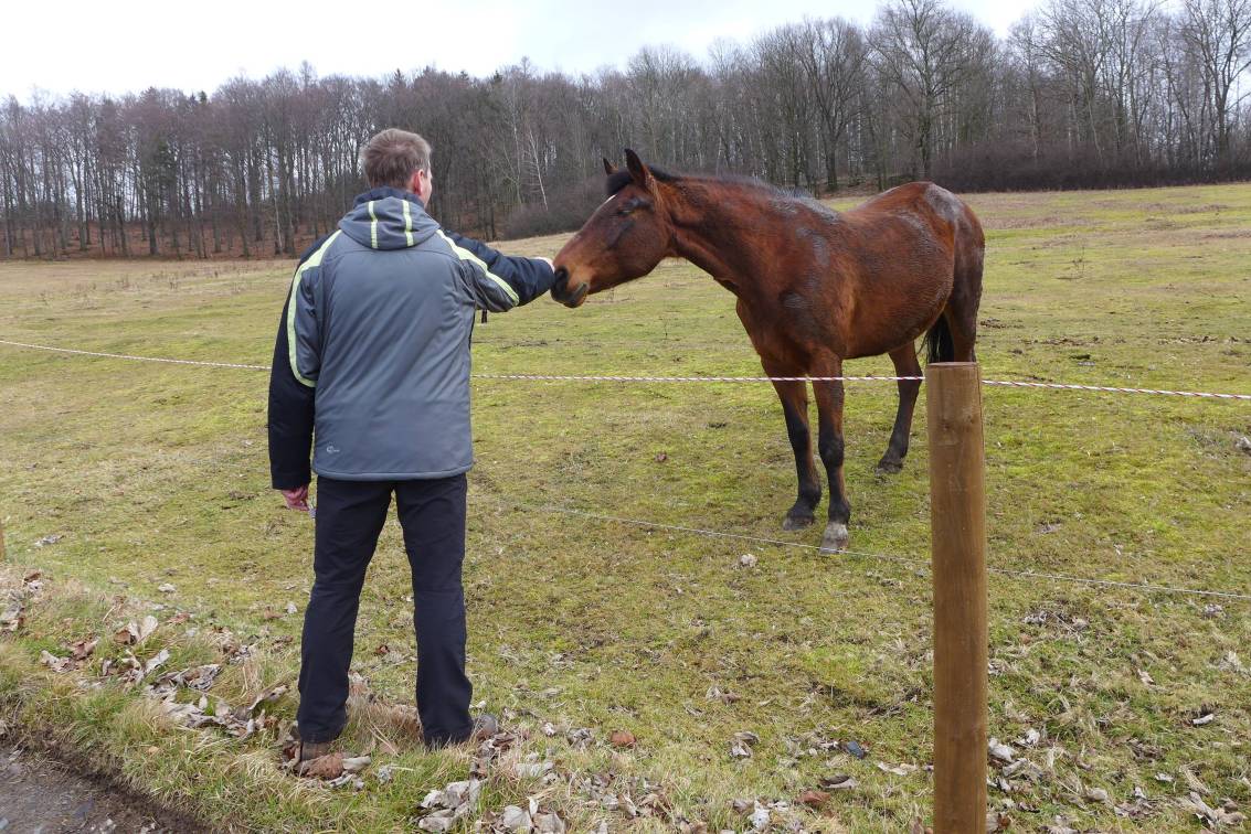 2020-01-31  Vyfoukaná pánská jízda  W020a