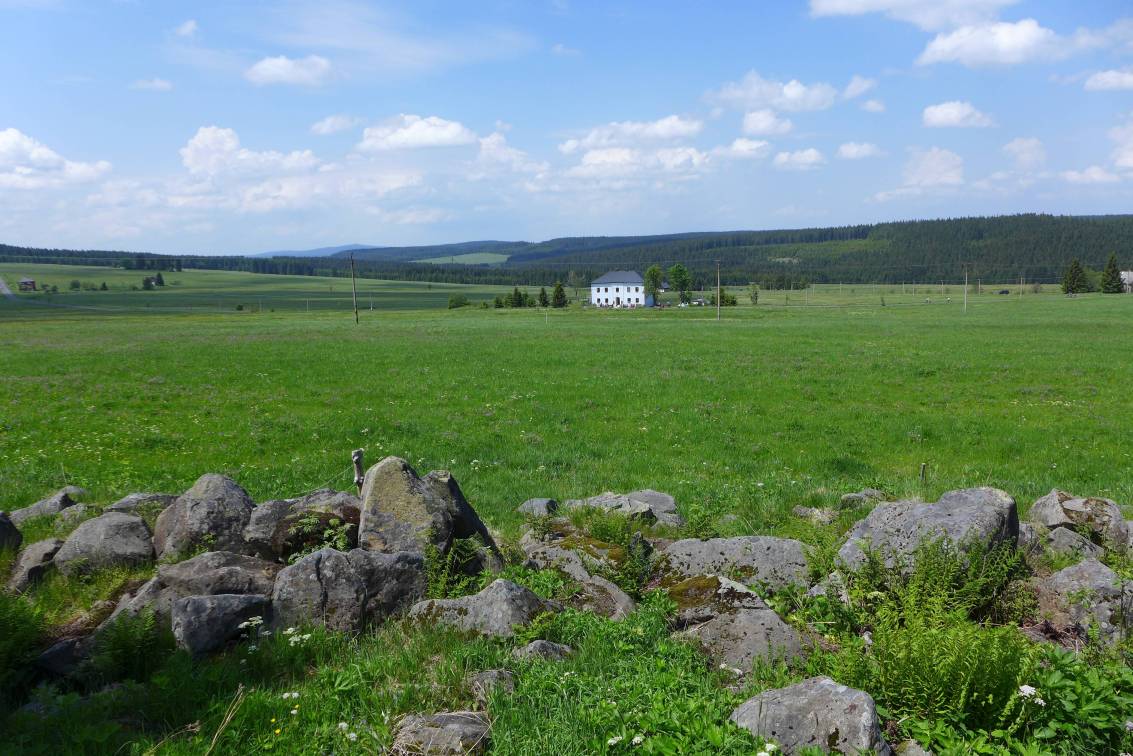 2020-06-13  Přes rašeliniště za vlkem  W023