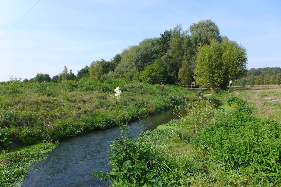 2020-09-23  Kolem pražských rybníků  015