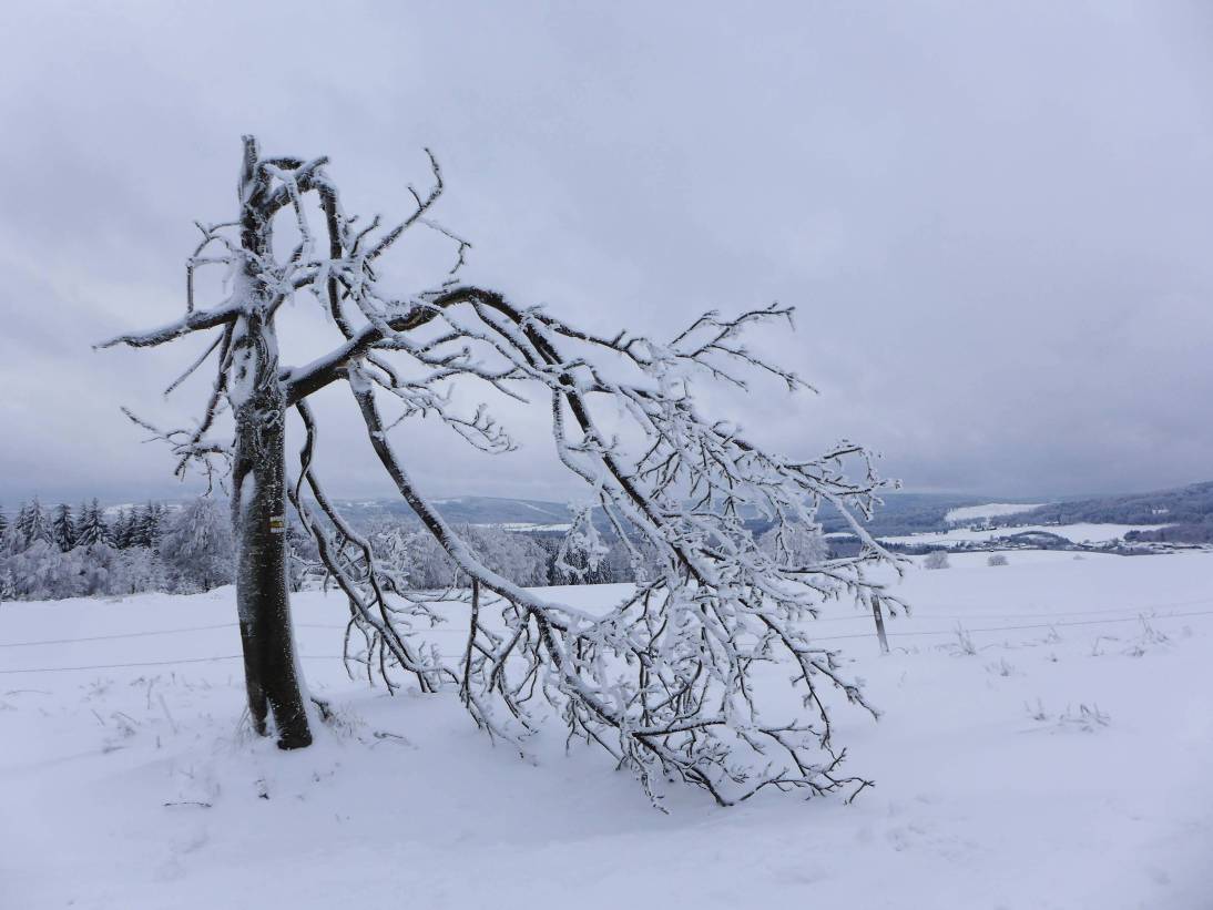 2021-01-07  Zamrzlá Jeřabina  W024