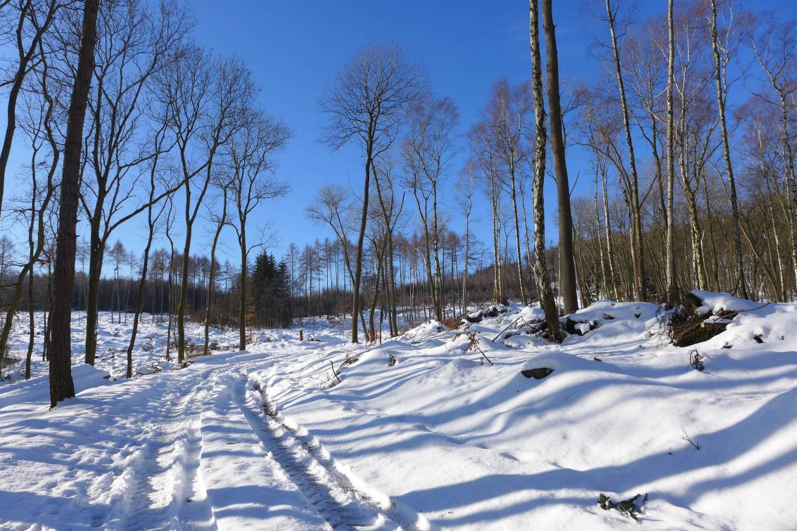 2021-01-31  Za ledovou Kočkou  W014