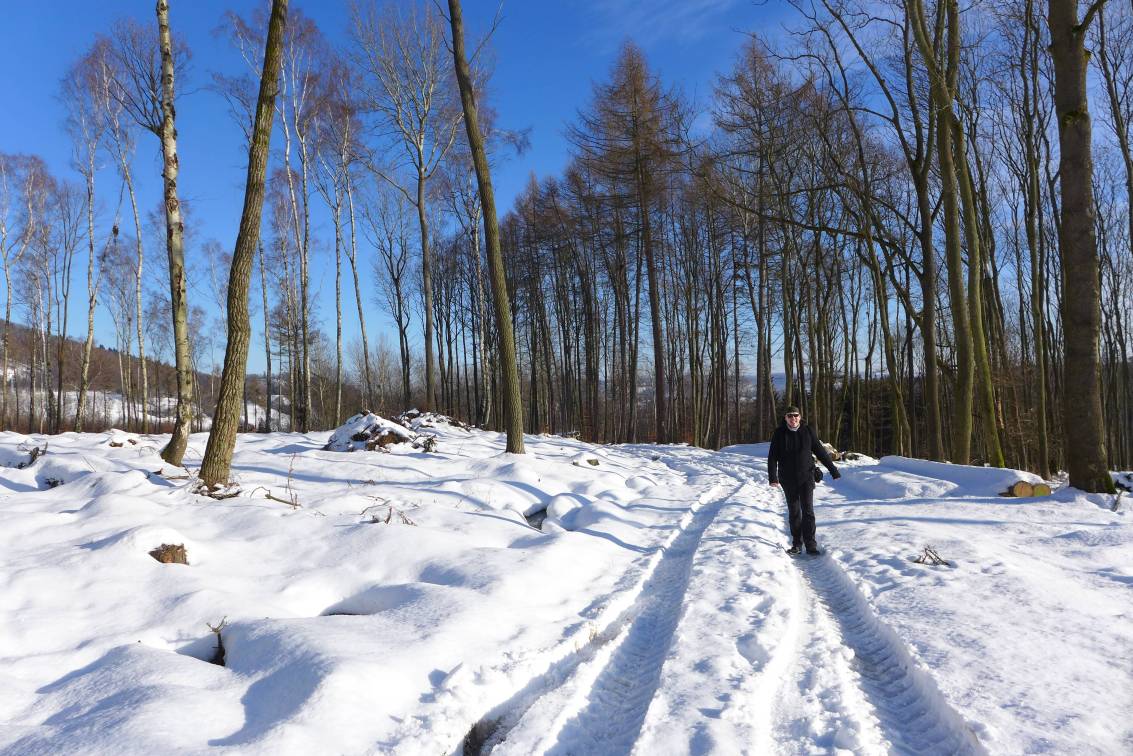 2021-01-31  Za ledovou Kočkou  W016