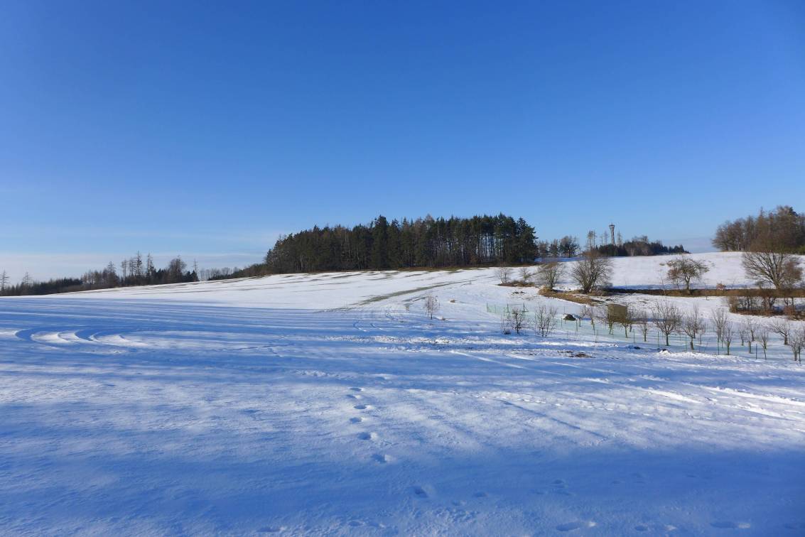 2021-02-01  Není Špulka jako špulka  W039