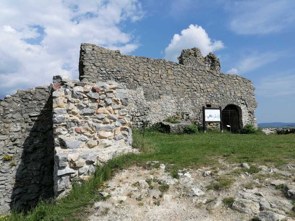 2023-05-20  Staří tuři  W026