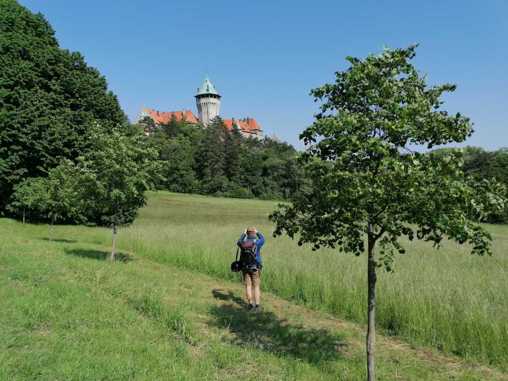 2023-05-24  Staří tuři  W042