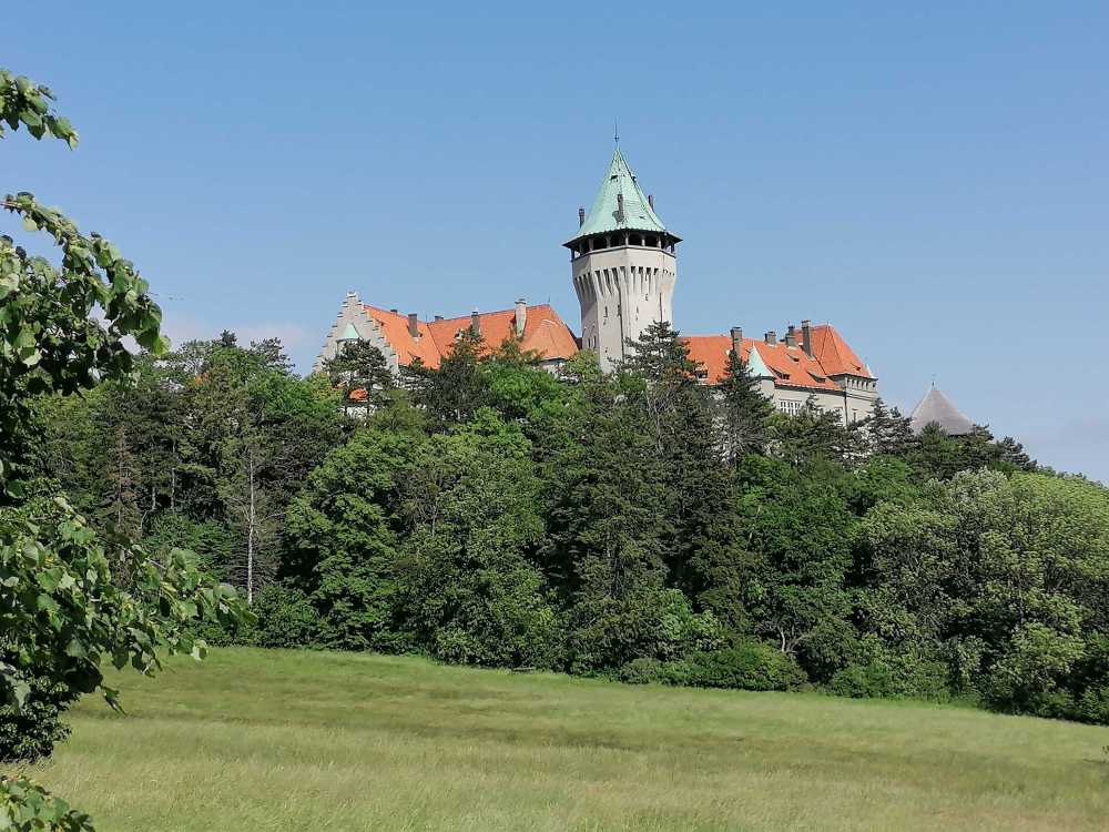 2023-05-24  Staří tuři  W043