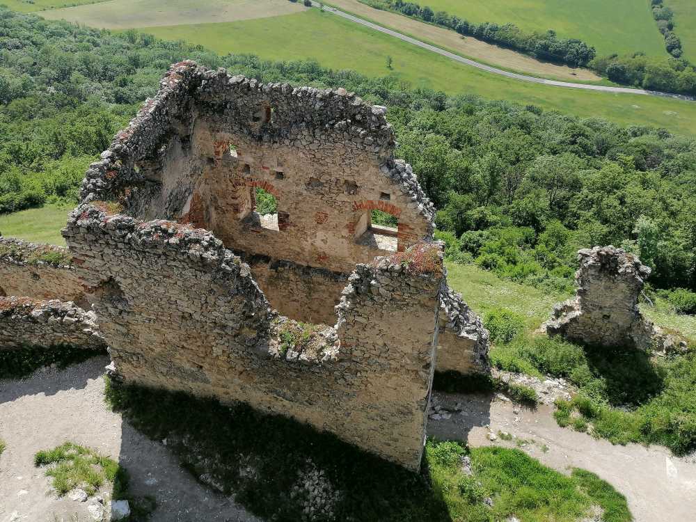 2023-05-25  Staří tuři  W021