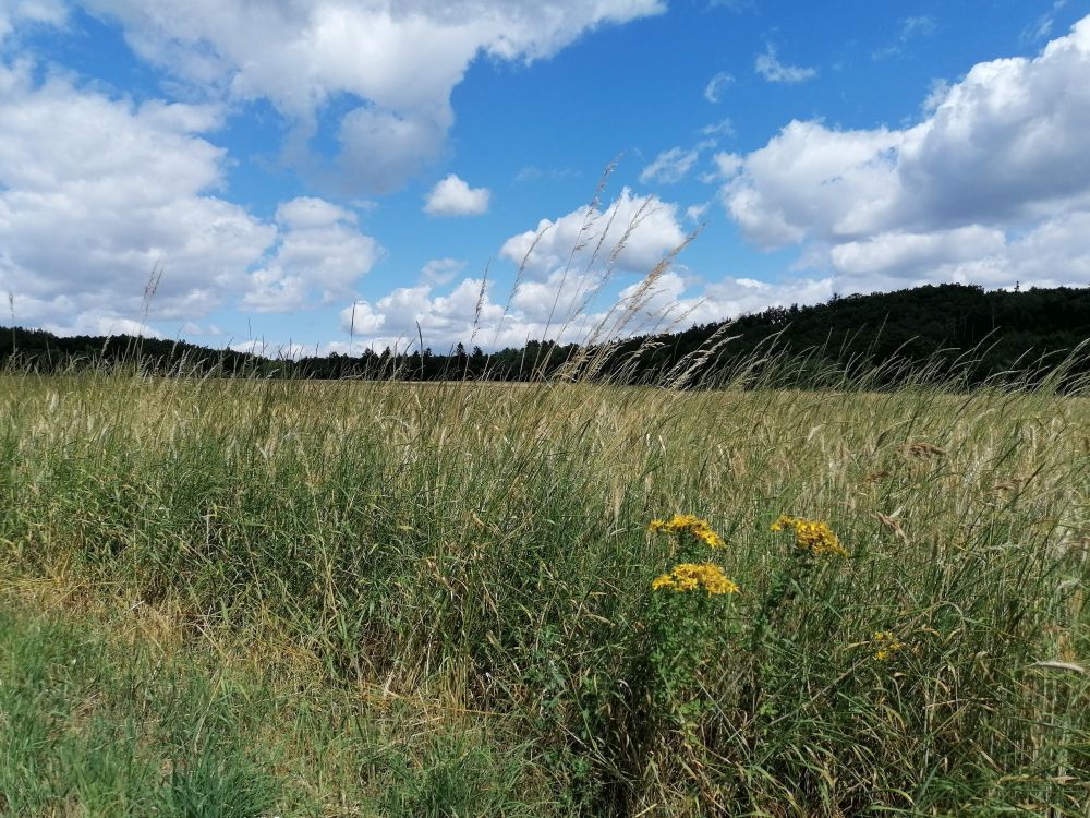 2023-07-02  Za Kájou Maříkem  W011