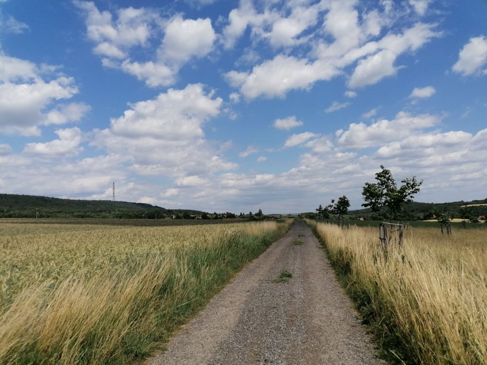 2023-07-02  Za Kájou Maříkem  W033