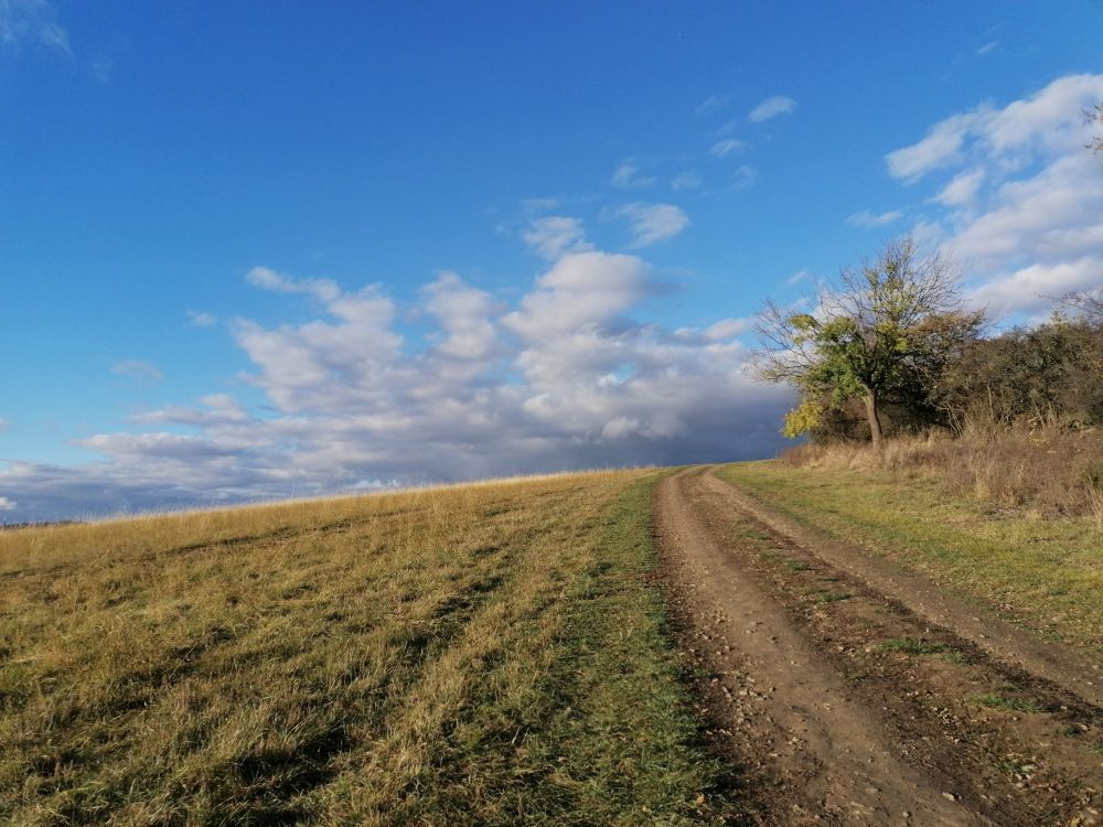 2023-11-12  Jílovské Pepření  W022