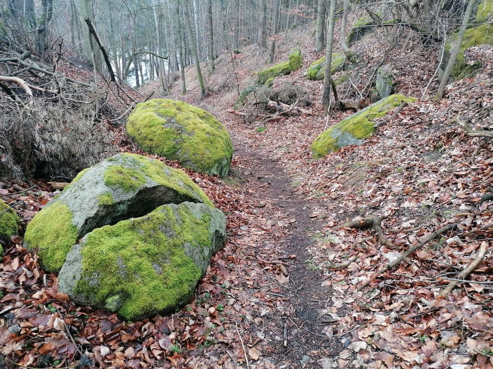 2024-02-10  Z Bělčic na Křikavu  034