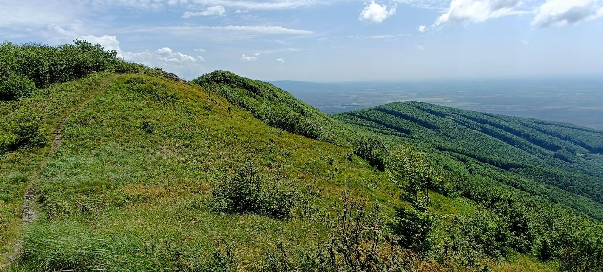 2024-05-24  Šašíci na Tokaji  W013