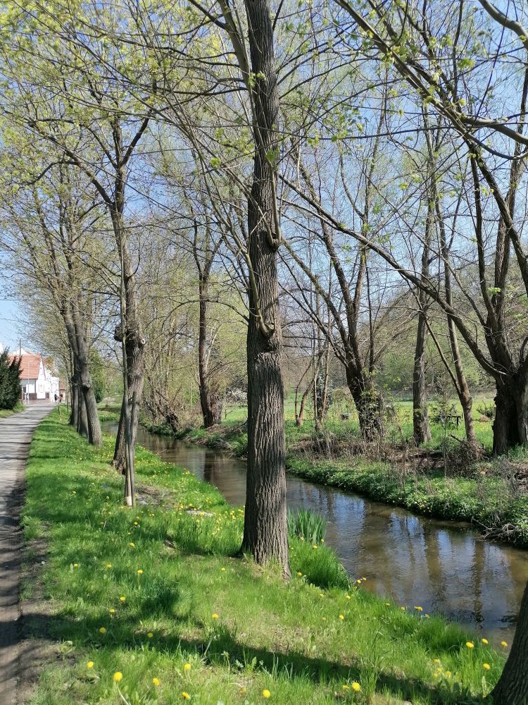 2025-04-20  Velikonoční Okoř  W020