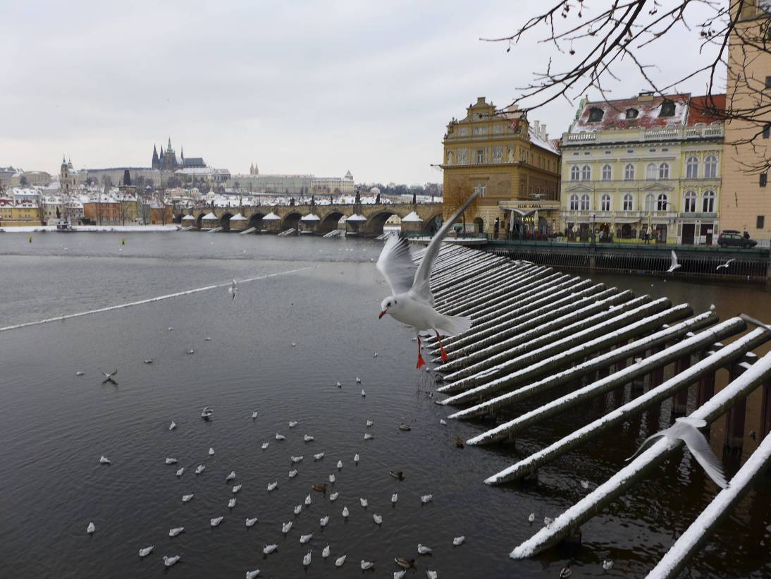 2017-01-10  Zimní Praha  W004