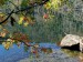 2026-09-28 Podzimní Šumava 2026 W015